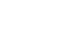 logotyp icep white
